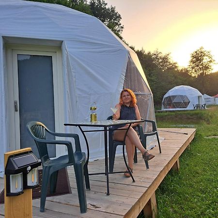 Forest Glamping Brasov Bagian luar foto