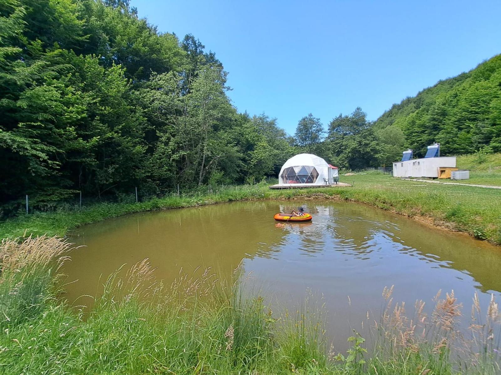 Forest Glamping Brasov Bagian luar foto