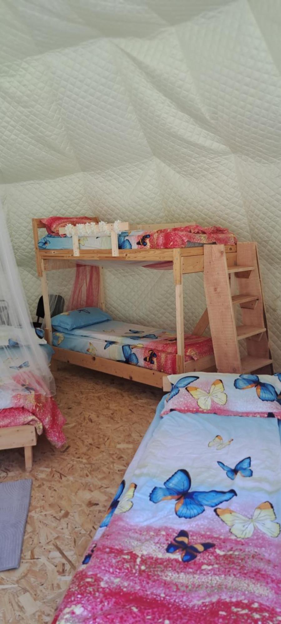 Forest Glamping Brasov Bagian luar foto