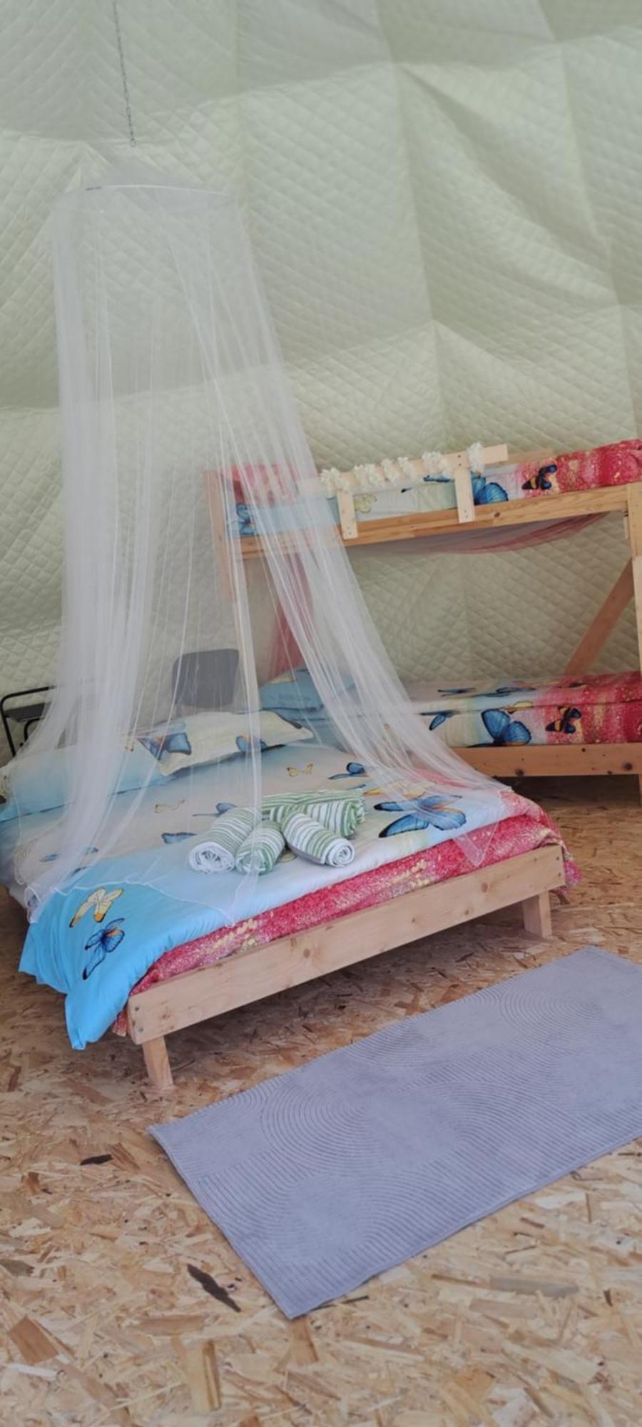 Forest Glamping Brasov Bagian luar foto