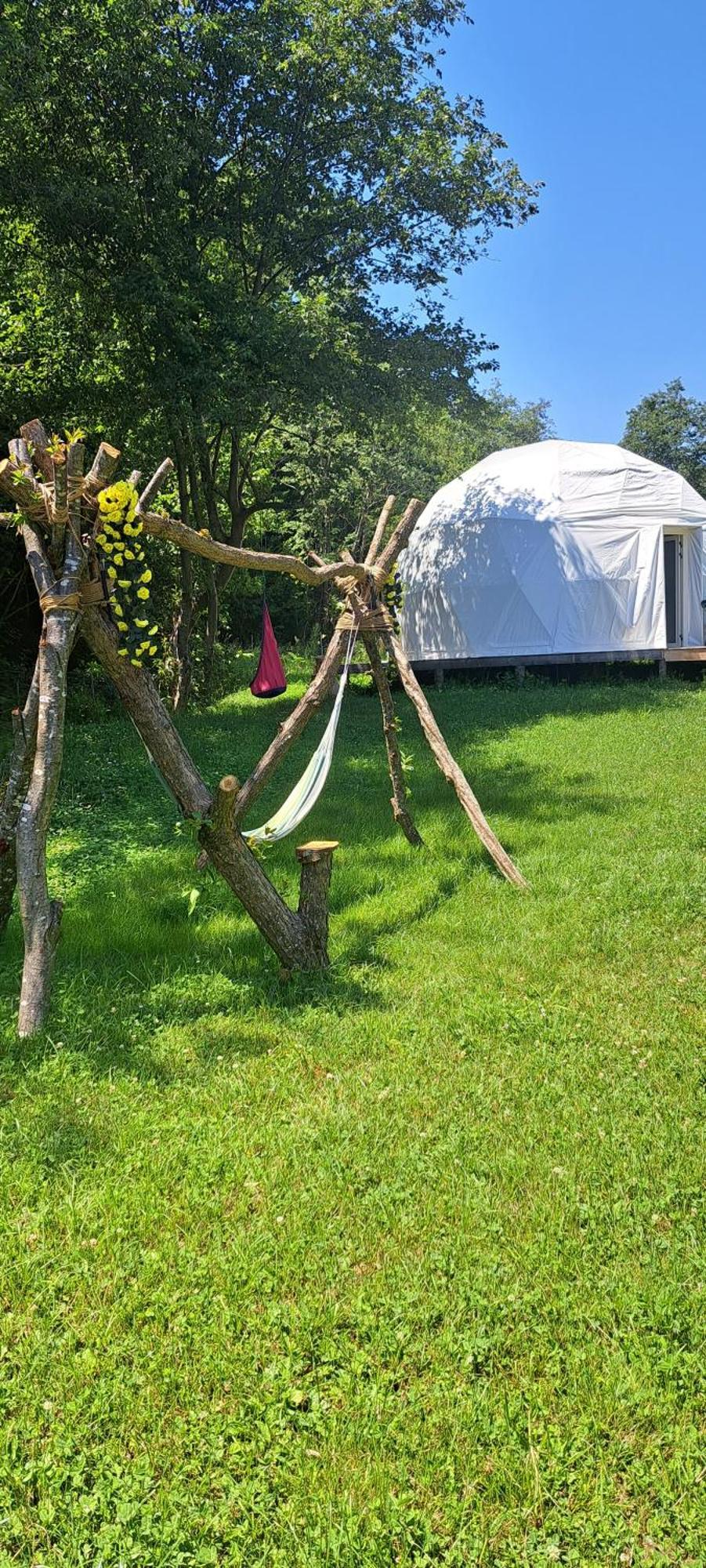 Forest Glamping Brasov Bagian luar foto