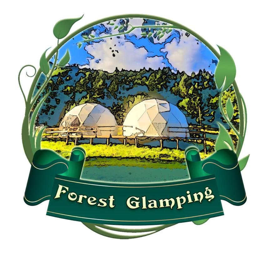 Forest Glamping Brasov Bagian luar foto