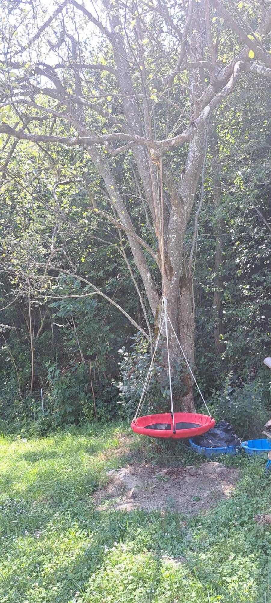 Forest Glamping Brasov Bagian luar foto