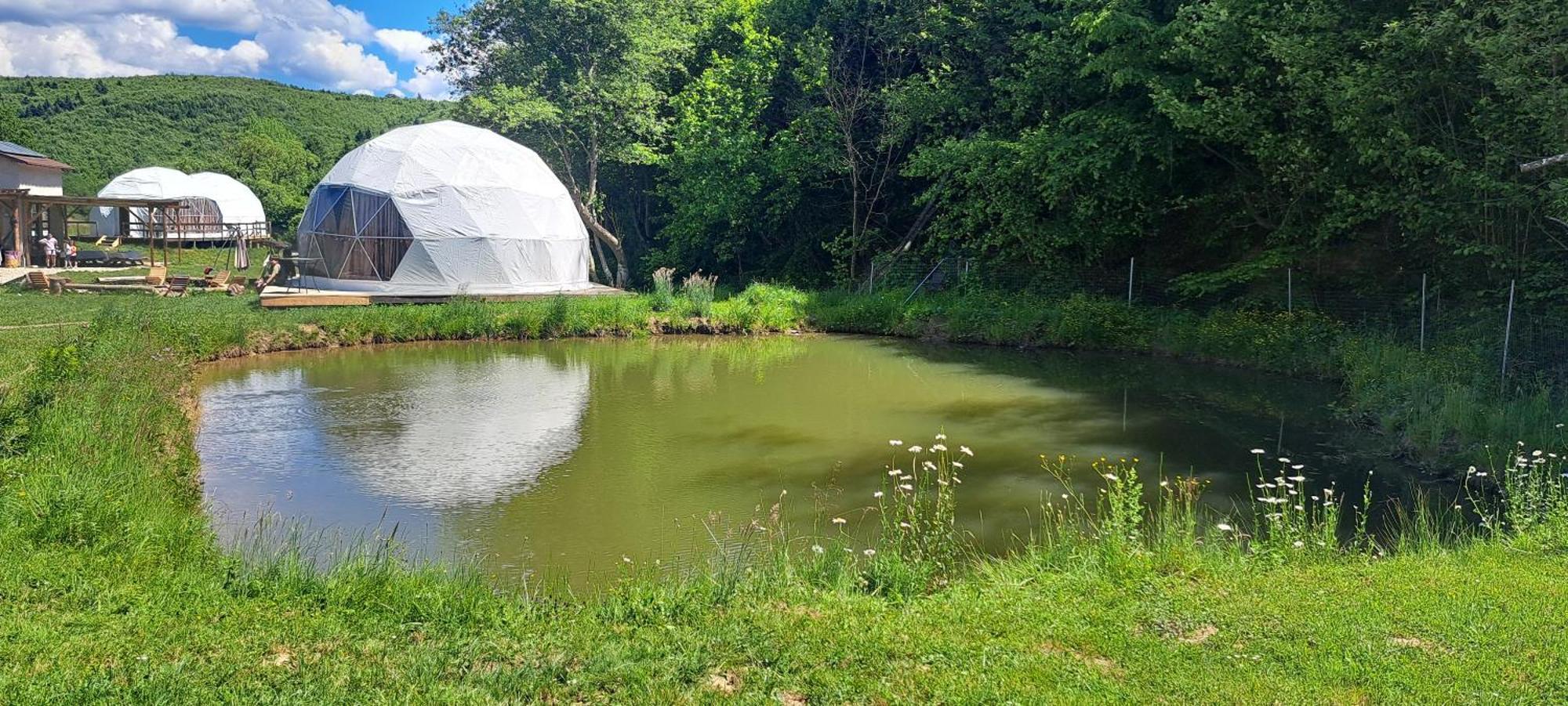 Forest Glamping Brasov Bagian luar foto