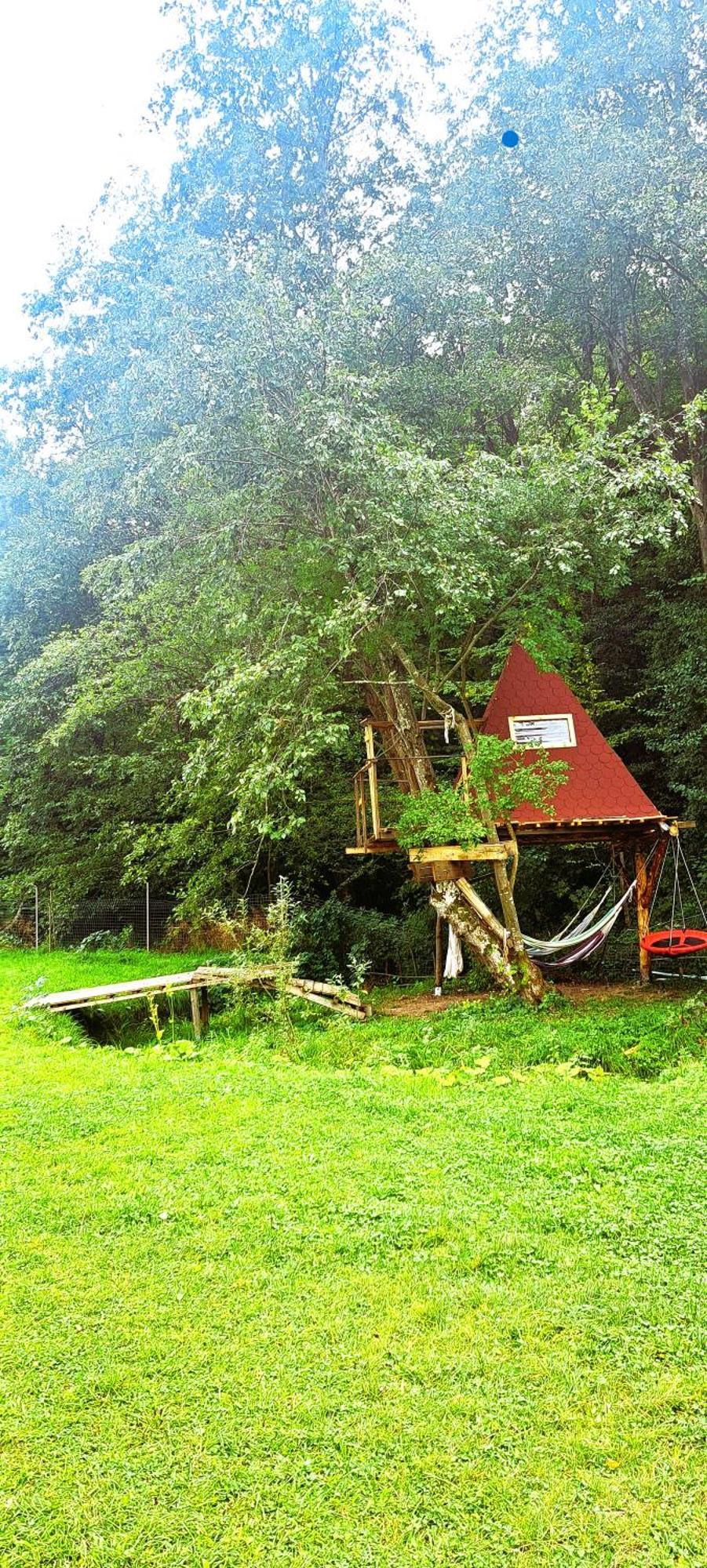 Forest Glamping Brasov Bagian luar foto