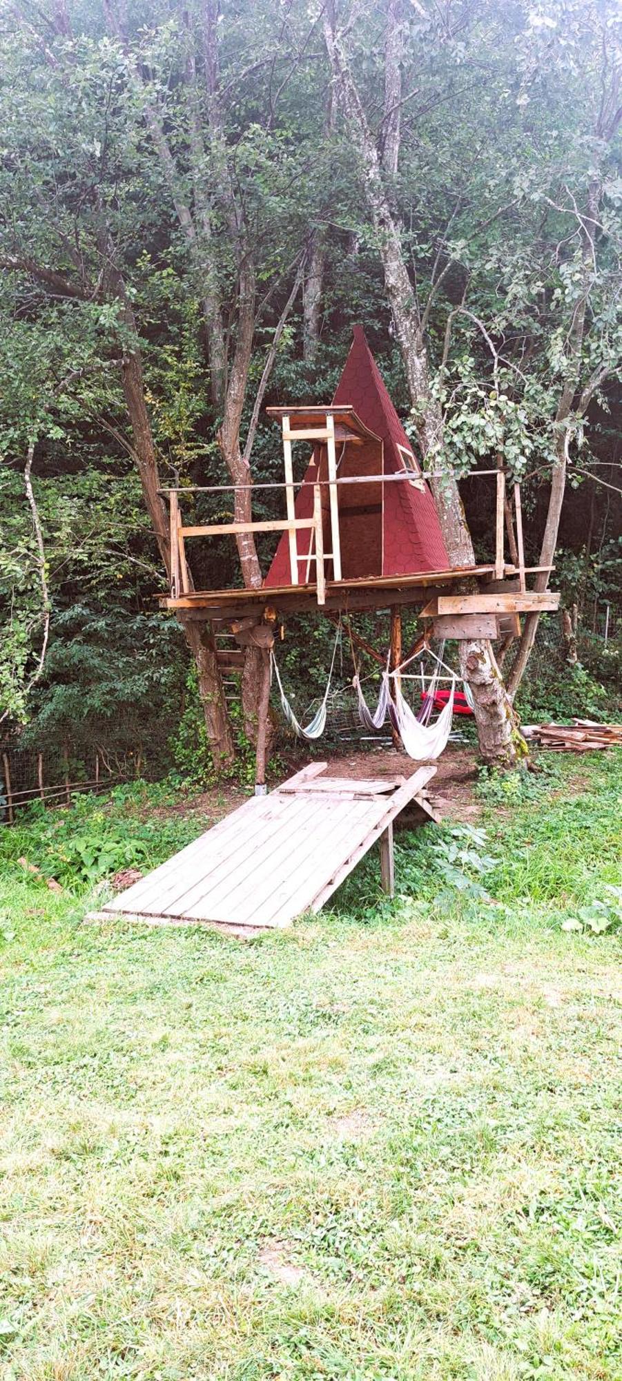 Forest Glamping Brasov Bagian luar foto